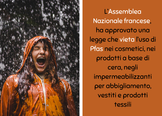 francia vieta pfas cosmetici abbigliamento.png